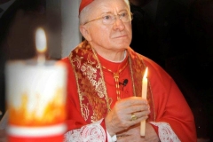 Cardinal Antonelli (2)